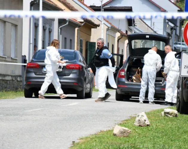 क्रोएसियाको एक स्याहार केन्द्रमा गोली चल्दा ६ जनाको मृत्यु