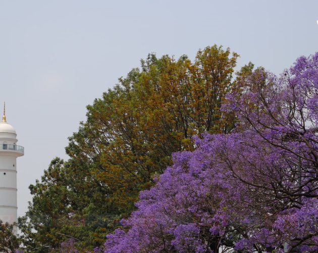 भोलिदेखि धरहरा खुला, सर्वसाधारणलाई निःशुल्क 