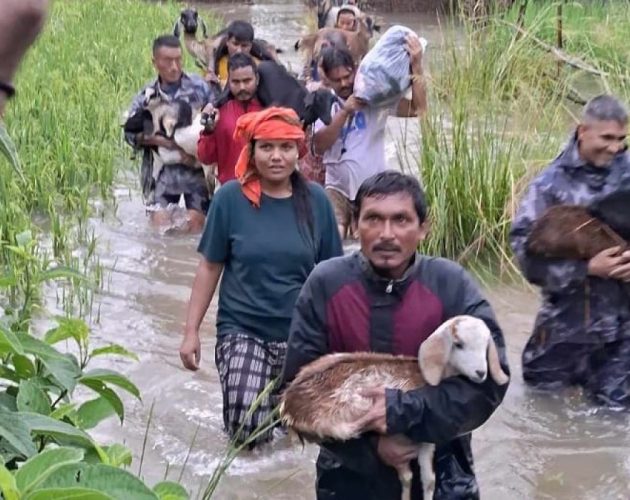 अविरल वर्षाका कारण कोशी प्रदेशमा ३४ करोडभन्दा बढीको धान बालीमा क्षति